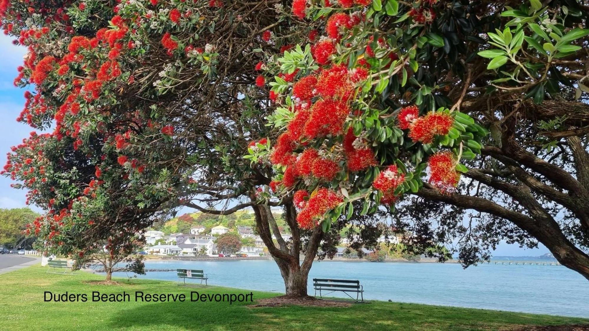 The Partchery Devonport 奥克兰 外观 照片